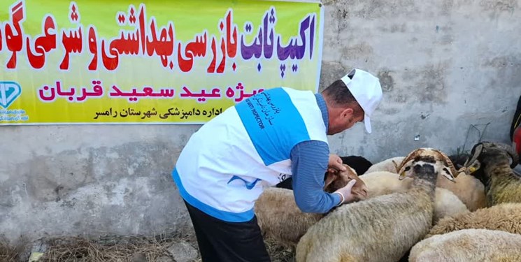 فعالیت 40 میدان عرضه دام  زنده در مازندران