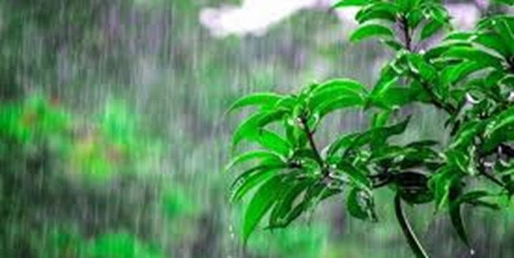 بارش‌های بهاری دیرهنگام اما مفید!
