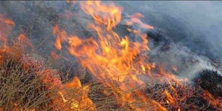 هشدار حریق در جنگل‌ها، تالاب‌ها و مراتع مازندران