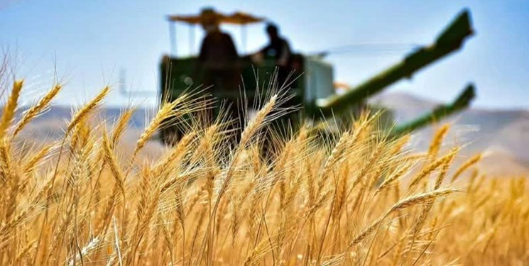مدال طلای سخاوت بر گردن طلایی کاران مازندرانی