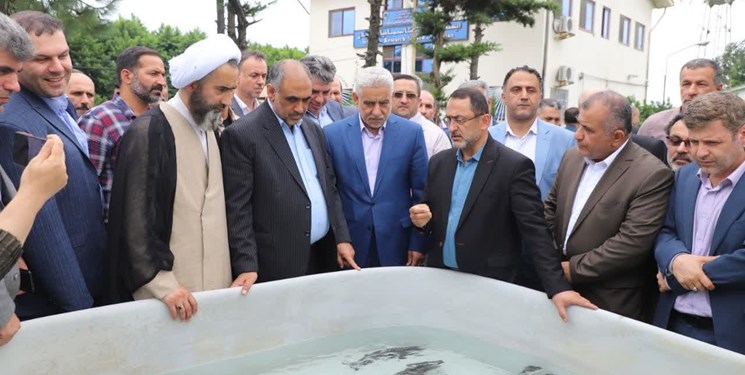 وزیر جهاد: گیلان رتبه نخست تولید خاوریار را دارد