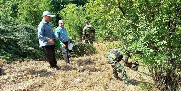 بیش از 11 هزار مترمربع از اراضی ملی در شهرستان گلوگاه و کجور خلع ید شد