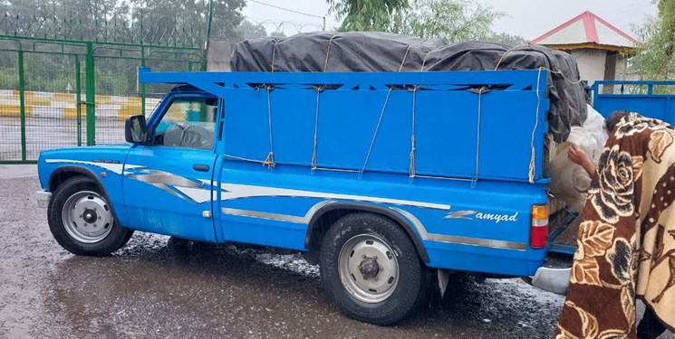 دستگیری قاچاقچی ماهی در مرز ایران