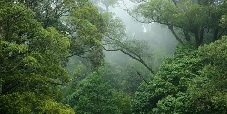 رگبارهای تابستانی در راه آسمان مازندران