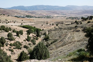 رویشگاه درخت «اُرس» در مازندران