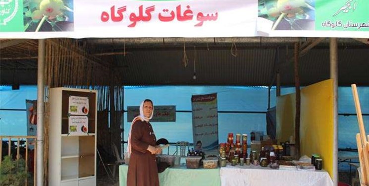 برپایی نمایشگاه شمیم خدمت در امامزاده محمد(ع) گلوگاه
