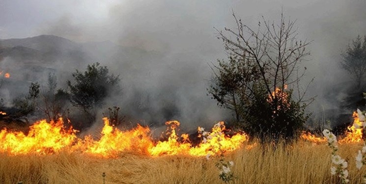 آتش به جان مراتع صعب‌العبور جنگلی بلده افتاد