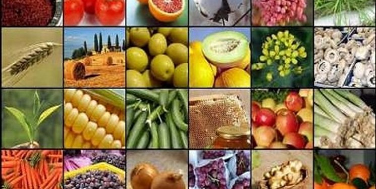41 درصد تولیدات کشاورزی مازندران مربوط به بخش زراعت است