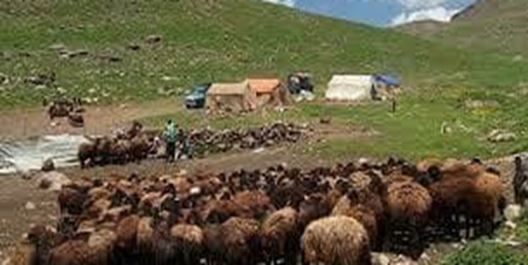 تنش خشکی، عشایر مازندران را مجبور به بازگشت از ییلاق‌ها کرد