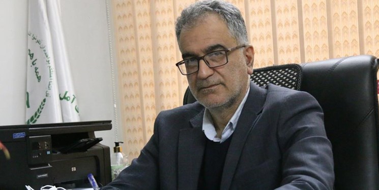 تأمین روزانه 80 تن گوشت سفید تهران توسط مرغداران آمل