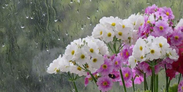 رگبارهای تابستانی در راه مازندران