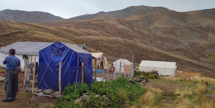 20 شهریور آخرین مهلت حضور عشایر در مراتع مازندران