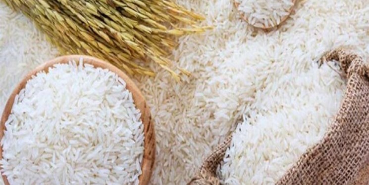 خرید بیش از 3 هزار تن برنج پرمحصول در مازندران