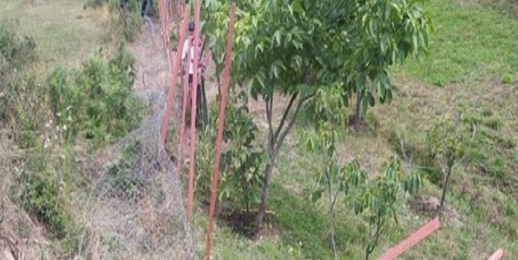 آزادسازی 15 هکتار از اراضی سفیدرود