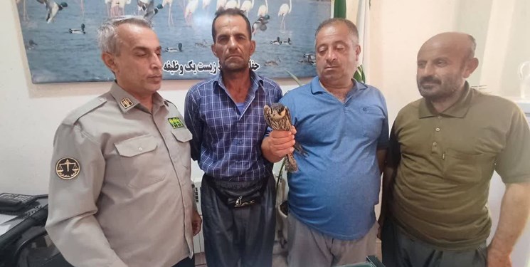 چشم‌پوشی دامدار گلستانی از پرنده نیم‌میلیاردی