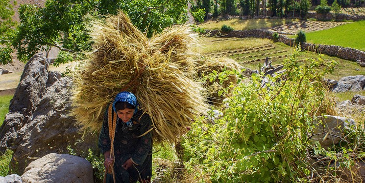 روز پررنگ مازندران در نمایشگاه ملی  توانمندی‌های روستاییان و عشایر