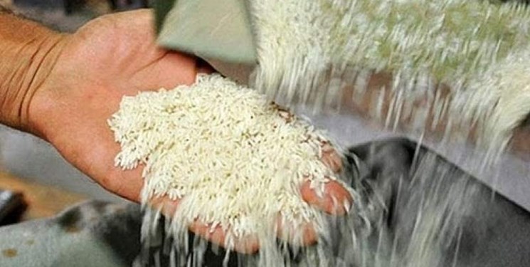 باران پاییزی جاده‌‌های ساحلی مازندران را لغزنده کرد