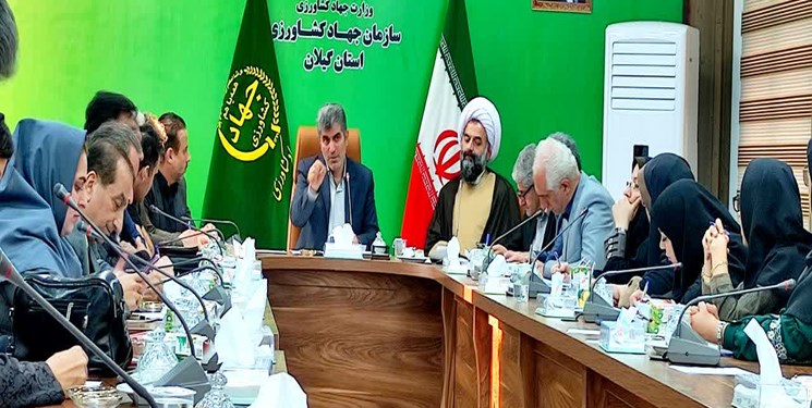 تولید سالانه 3.5 میلیون تن محصولات کشاورزی در گیلان