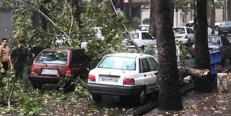 طوفان و سقوط درخت و قطع برق در گرگان
