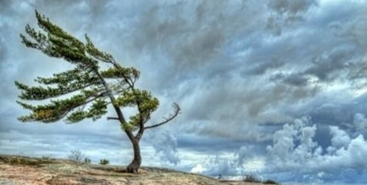 تُندباد پاییزی مازندران را درنوردید
