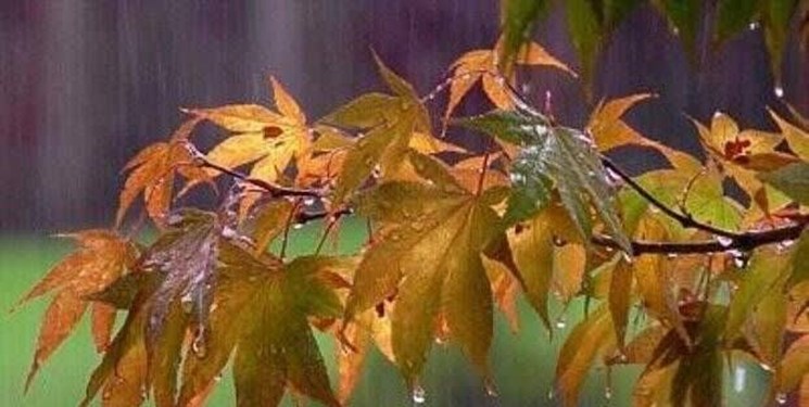 رشد 37 درصدی بارش‌های مازندران در نخستین ماه از سال زراعی