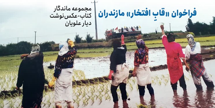 فراخوان «قابِ‌ افتخار» مازندران