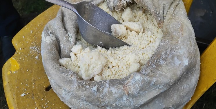 پرونده ثبت ملی خیکی پنیر اطاقور لنگرود تدوین شد