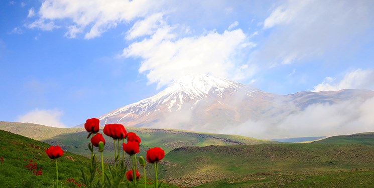 هفته مازندران، نماد پیشتازی دینی دیار علویان
