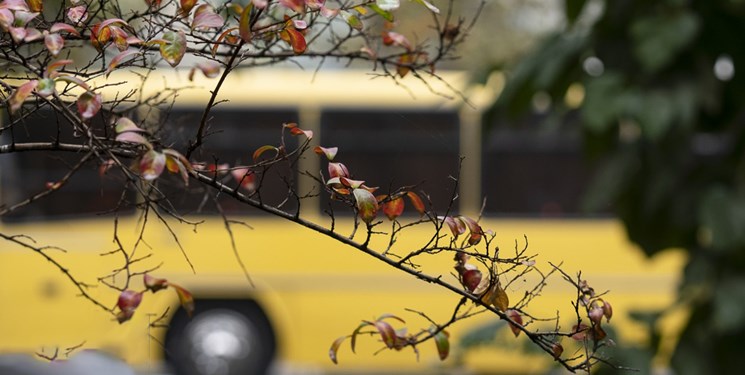 کاهش 8 درجه‌ای دما در گلستان