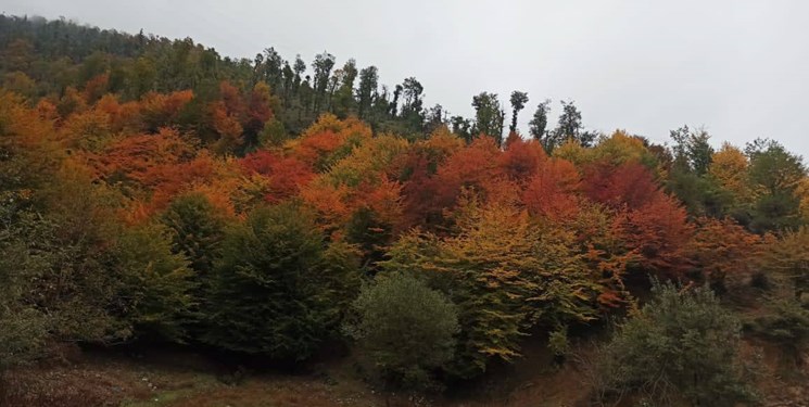 ناپایداری موقتی آسمان مازندران
