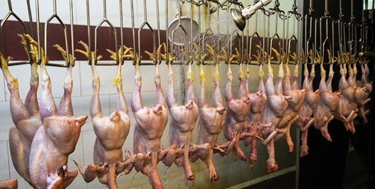 حکمرانی داده محور در زنجیره تامین و توزیع محصولات اساسی
