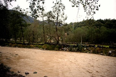 زیبایی طبیعت «شوکاشور»