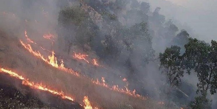 وسعت آتش‌سوزی در جنگل‌های گیلان به  80 هکتاری رسید