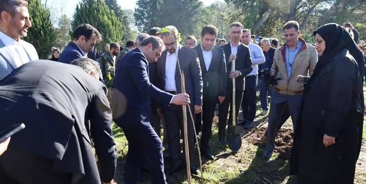 کاشت  10 هزار اصله نهال در مازندران
