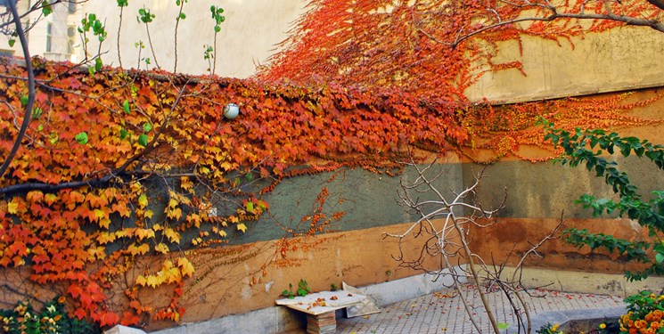 حاکمیت جو پایدار در گلستان