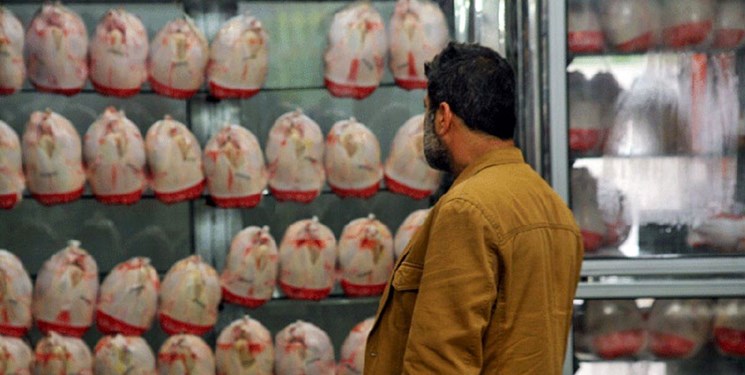 پرواز مرغ‌های گیلان در معرکه تولید کننده و مسؤولان