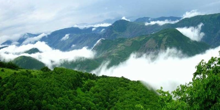 تنوع درختان جنگل‌های هیرکانی در مازندران