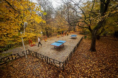 جادوی رنگ‌ها در بهشت پاییزی گلستان