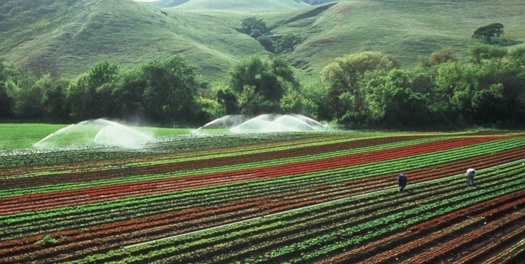 تخصیص اعتبار 96 میلیاردی برای آب‌بندان های مازندران