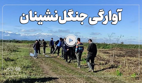 فیلم| 10 سال آوارگی ثمره ساماندهی جنگل‌نشینان شفت