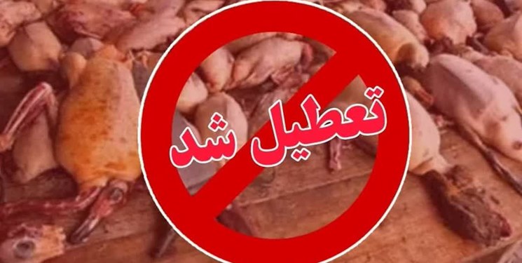 تعطیلی و برچیده شدن بازار غیرقانونی فروش  و تجارت پرندگان وحشی در فریدونکنار