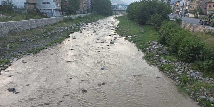سرمایه‌گِل‌آلود