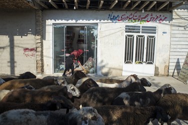 کارگاه تولید کالای خواب در گرگان