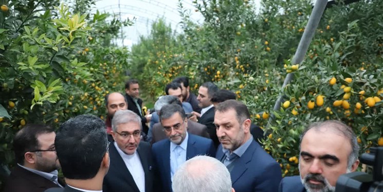 اجرای موفق طرح توانمندسازی اقتصادی در روستای خرماکلا