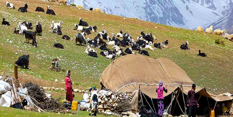 تولید 1400 تن گوشت توسط عشایر گیلان