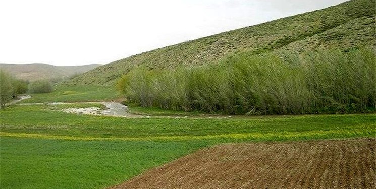 3000 مترمربع از اراضی ملی صومعه‌سرا آزادسازی شد