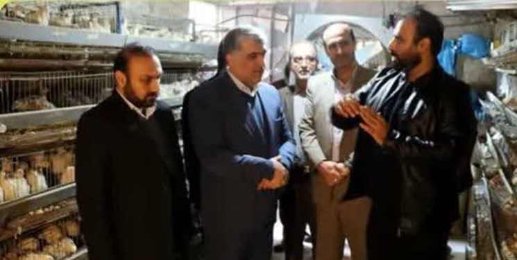 افتتاح و بهره‌برداری 6 طرح اشتغالزایی  کمیته امداد در قائمشهر