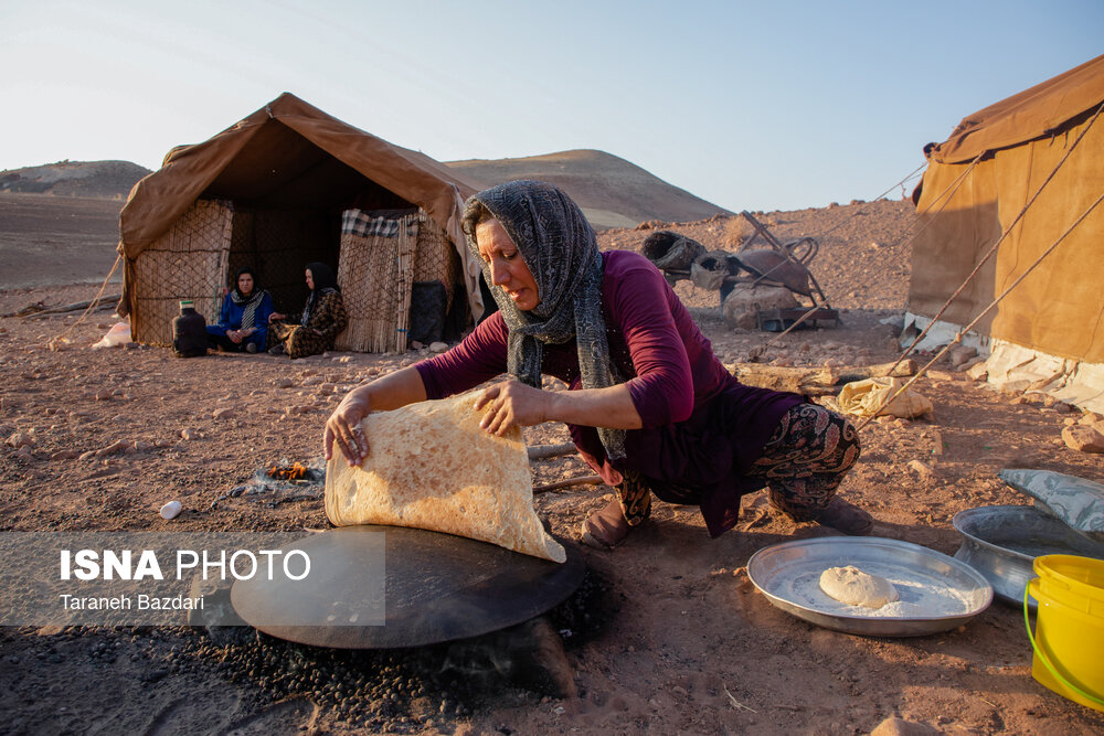 سهمیه 850 نکایی از یارانه دولتی بیمه روستایی و عشایری