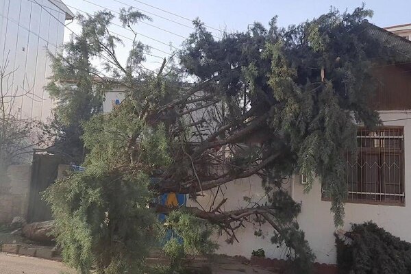 افزایش 5 تا 10 درجه ای دمای گیلان/ وزش باد شدید