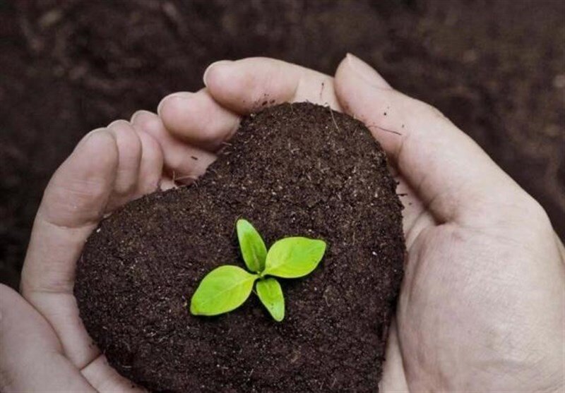 کمبود شدید فسفر و پتاس در 65 درصد از اراضی کشاورزی گلستان